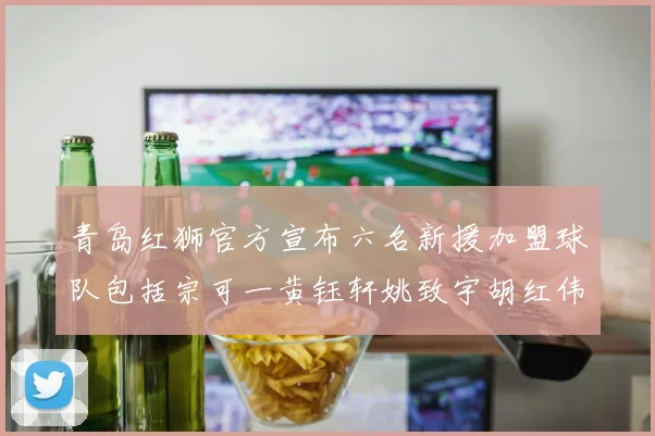 青岛红狮官方宣布六名新援加盟球队包括宗可一黄钰轩姚致宇胡红伟等人